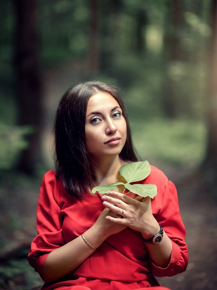 Лесная сказка