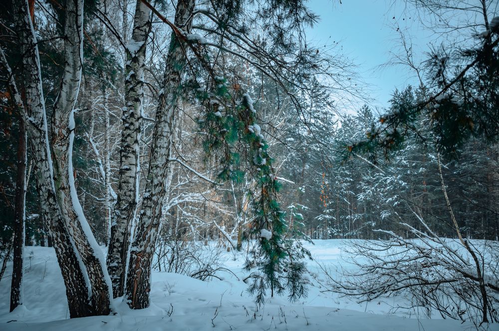 Зимнее утро.