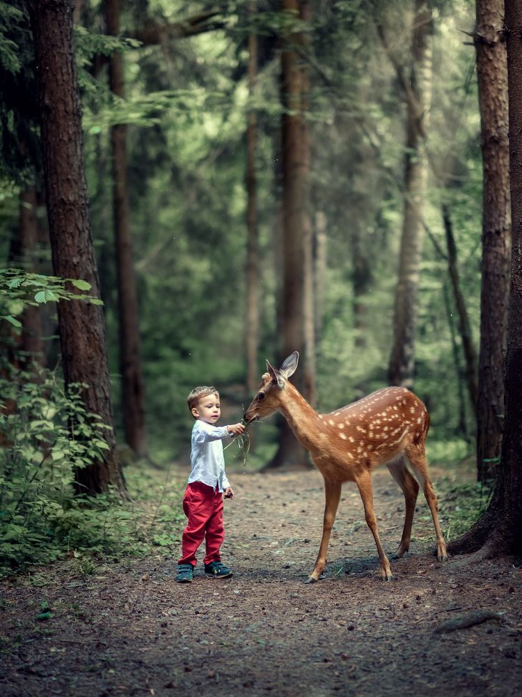 Photograph by Елена Хныкина