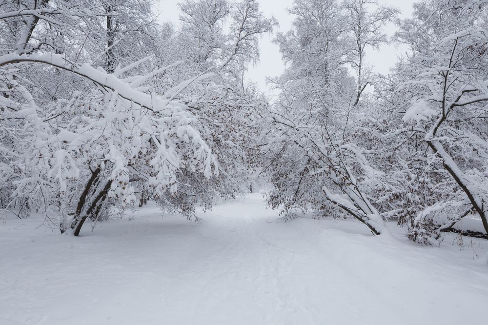 Зима в парке