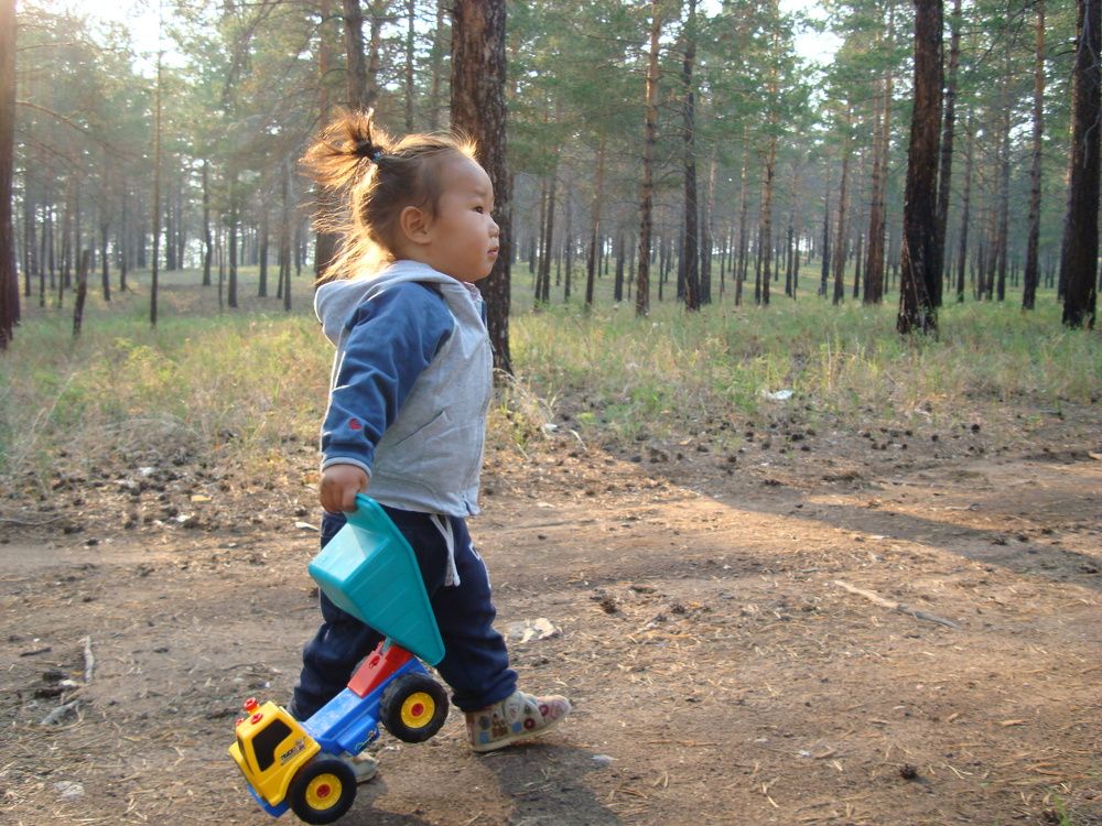 In the forest