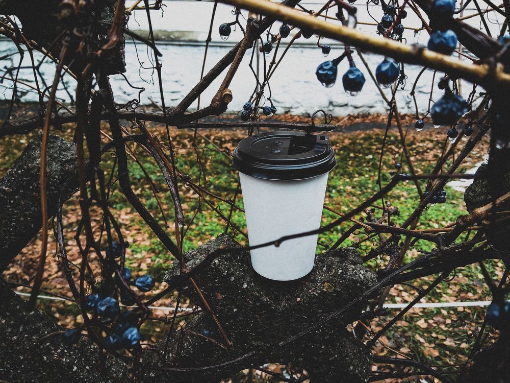 Photograph by Юлия Хоменко