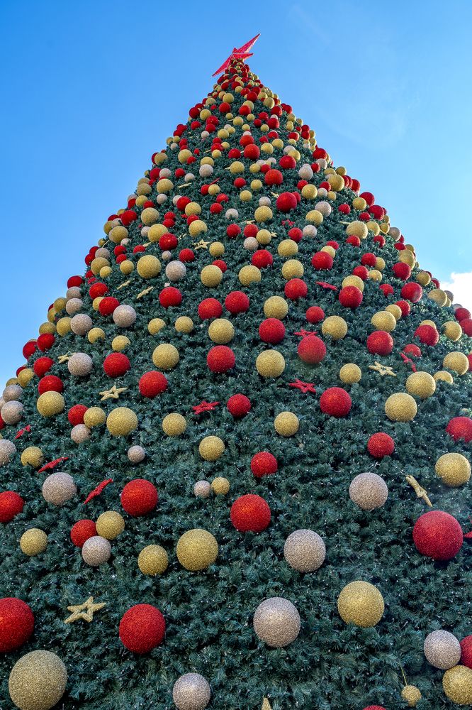 Christmas tree in Nazareth