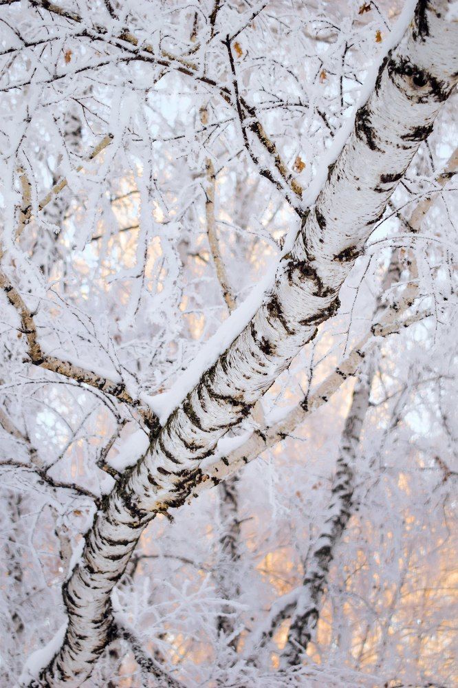 Photograph by Александра Голубенко