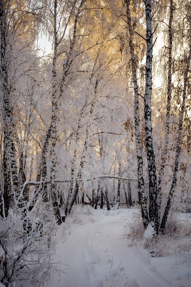 Photograph by Александра Голубенко