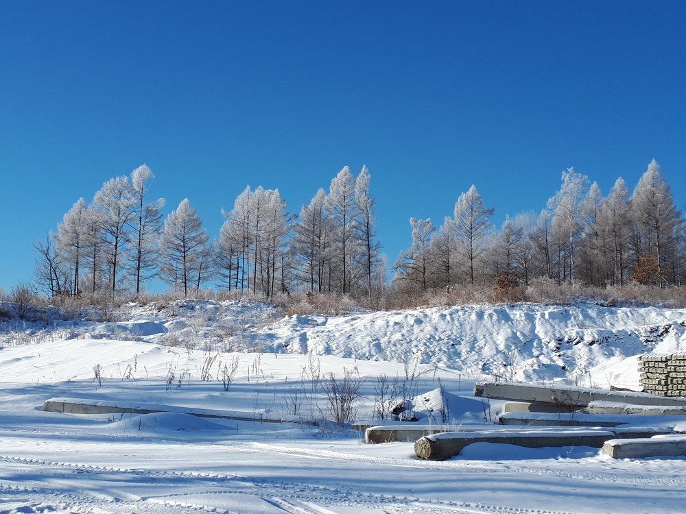Зима