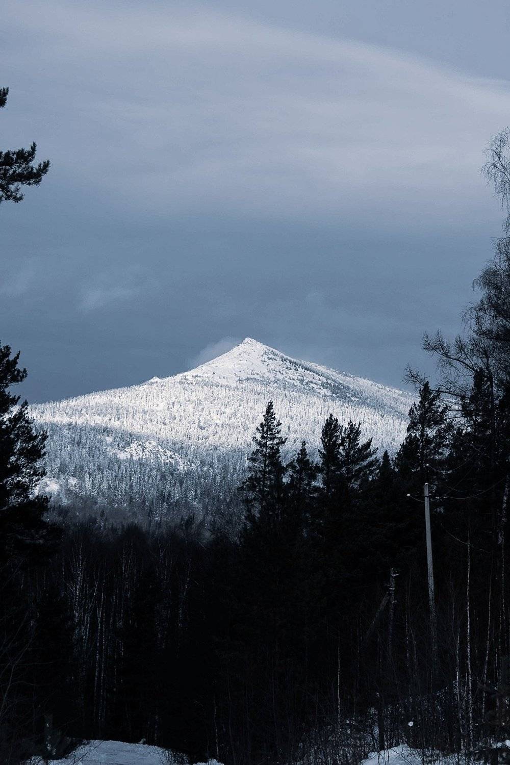 Photo #2847666