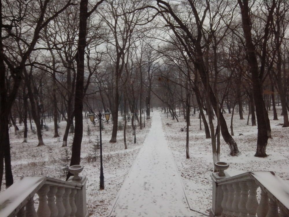 Зимняя лестница