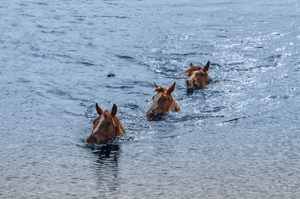 Photograph by Victor Pruhnitskiiy