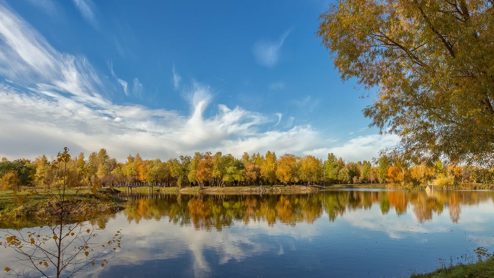 Краски осени