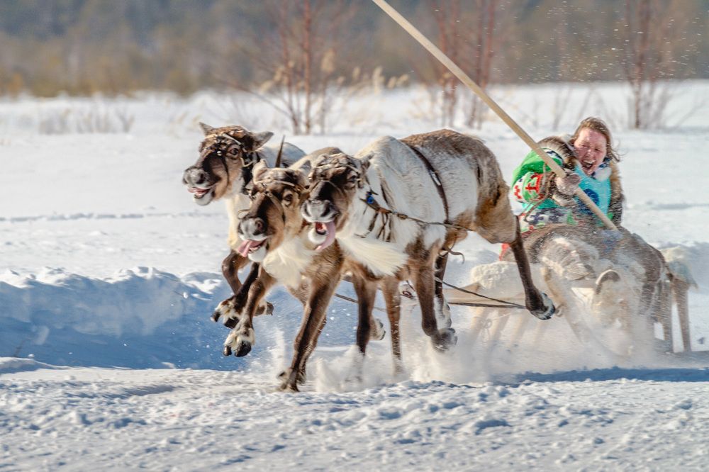 Быстрей, еще быстрей!