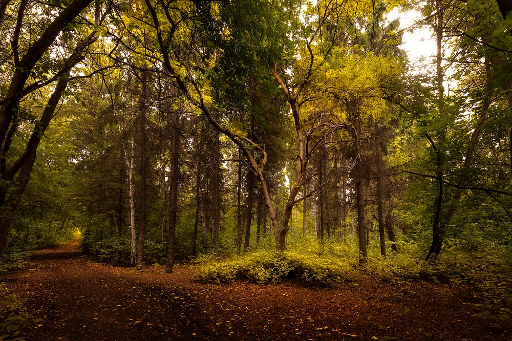 Photograph by Иващин Александр