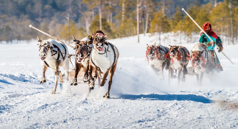 Экспрессия гонки