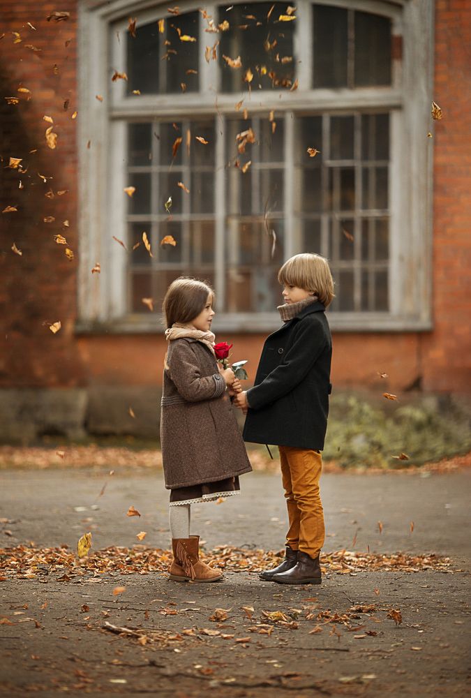 Красная роза