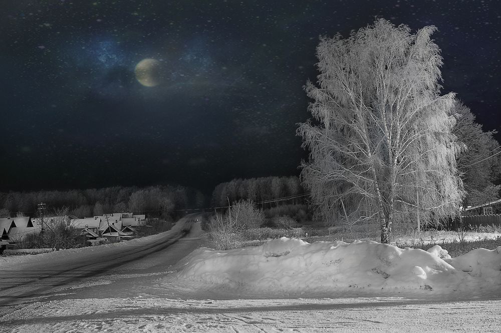 Берёза белая подруга