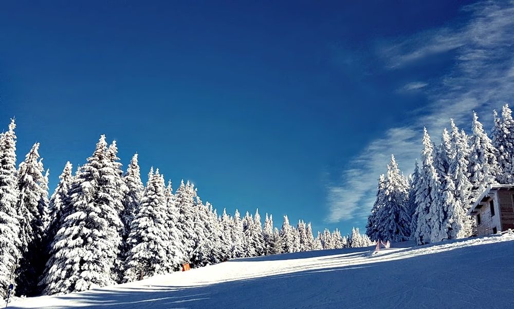 Planina Kopaonik u Srbiji ,zimi