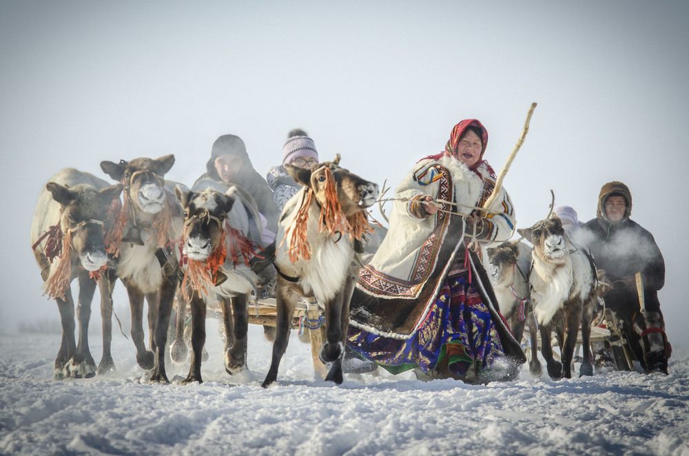 Погонщица упряжки