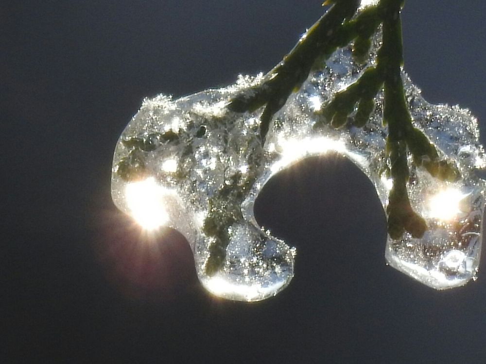 Photograph by Олександр Максимюк