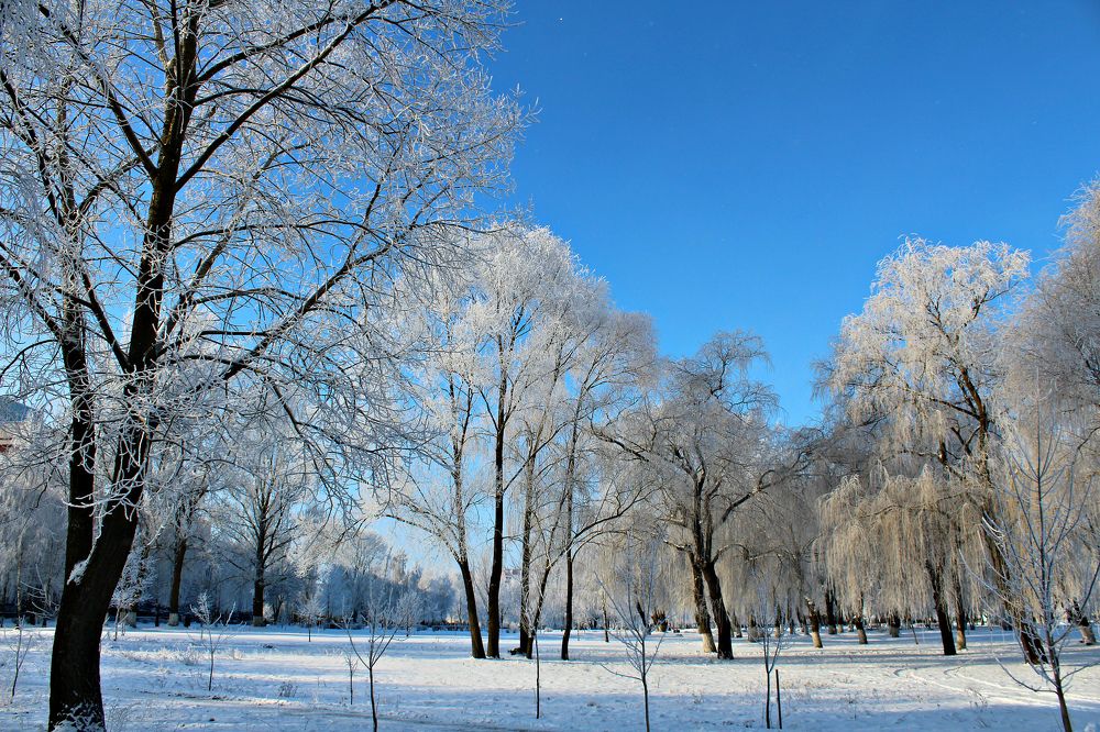 Сказочная зима.