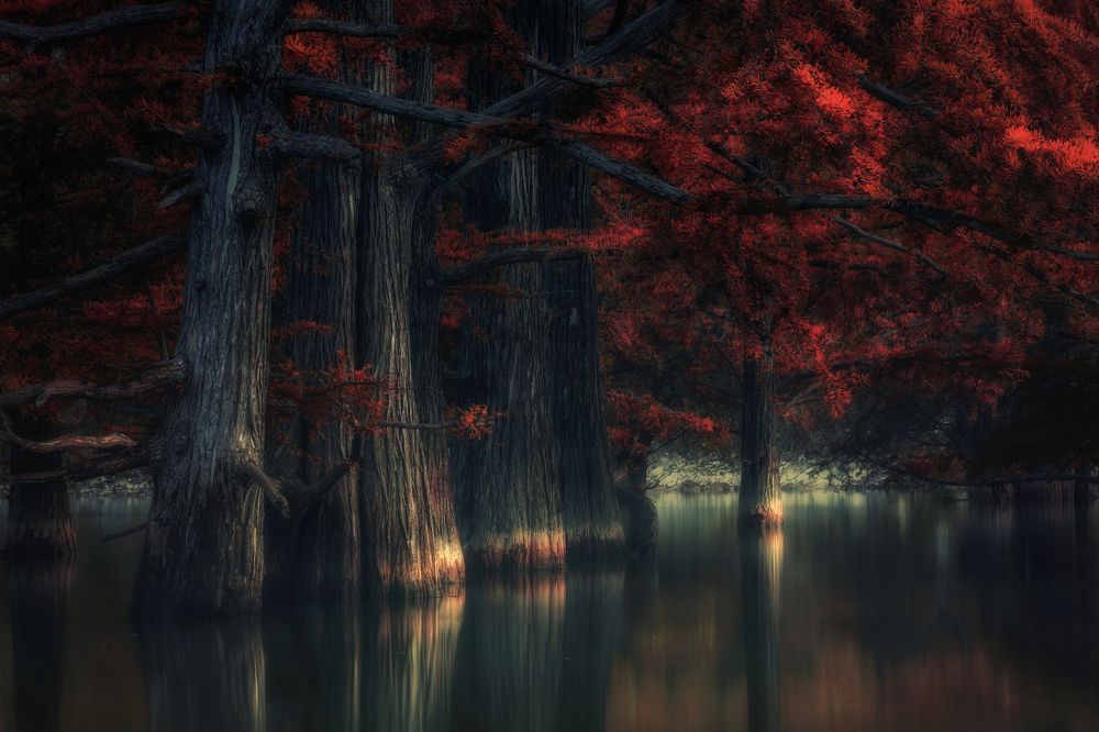 Сказочное озеро