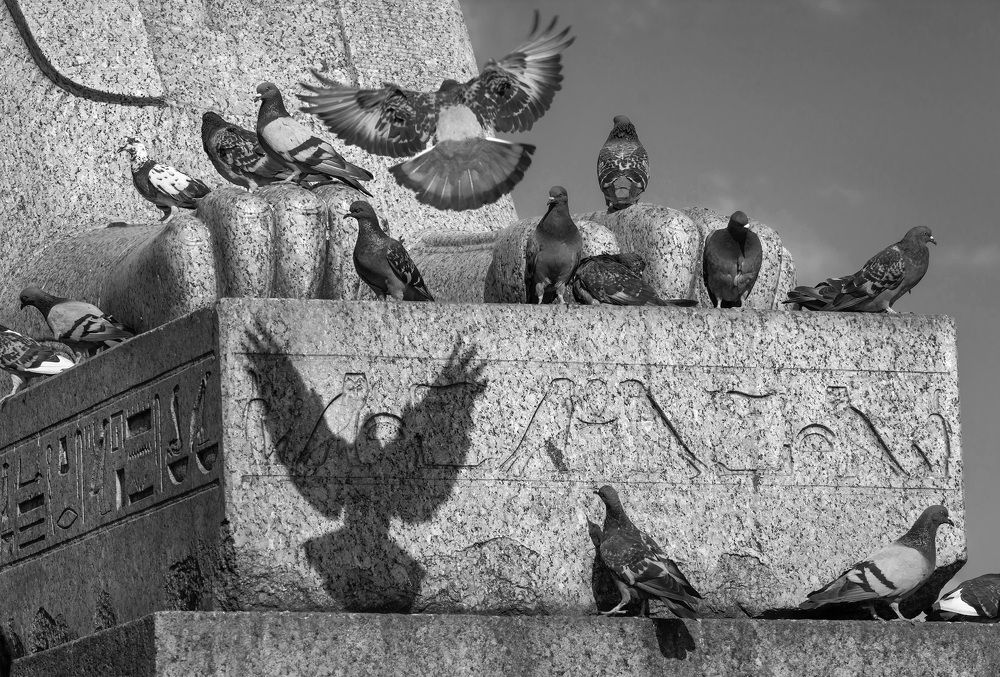 Символы сфинкса.