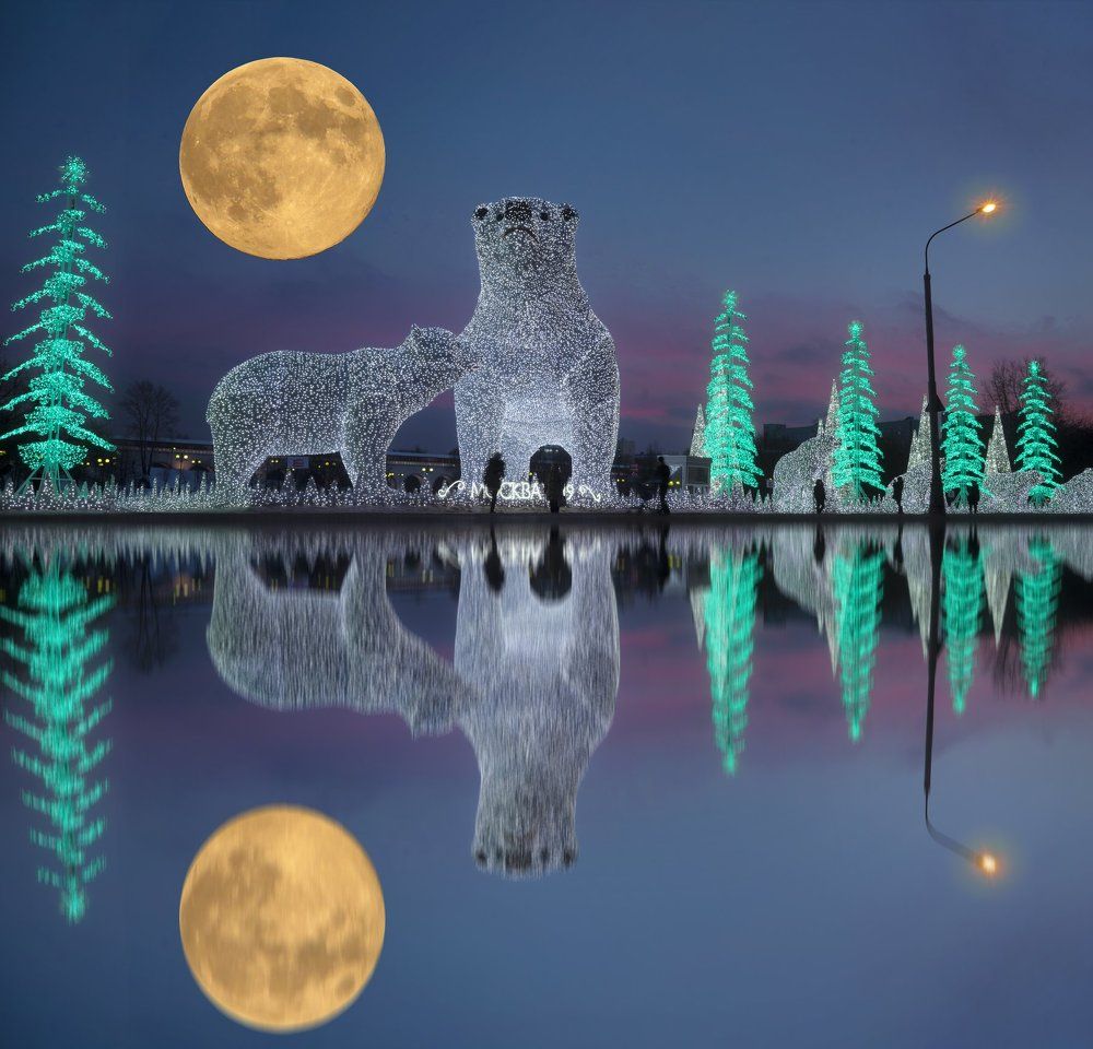 Где-то на белом свете, там, где всегда мороз.