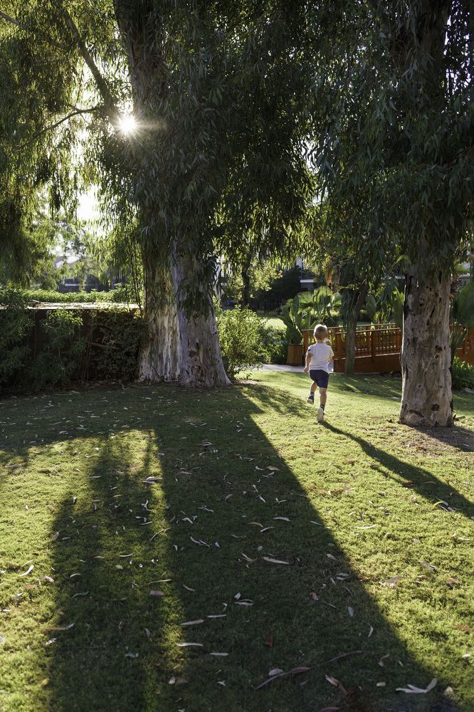 Вернуться в детство