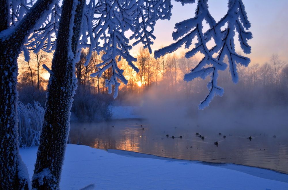 Зимняя сказка