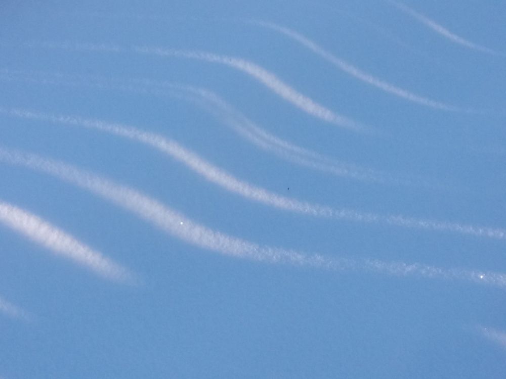 Тень на снегу