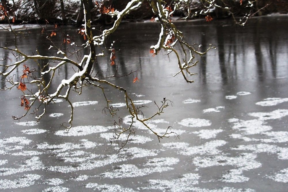 Речка Дрикса замерзает...