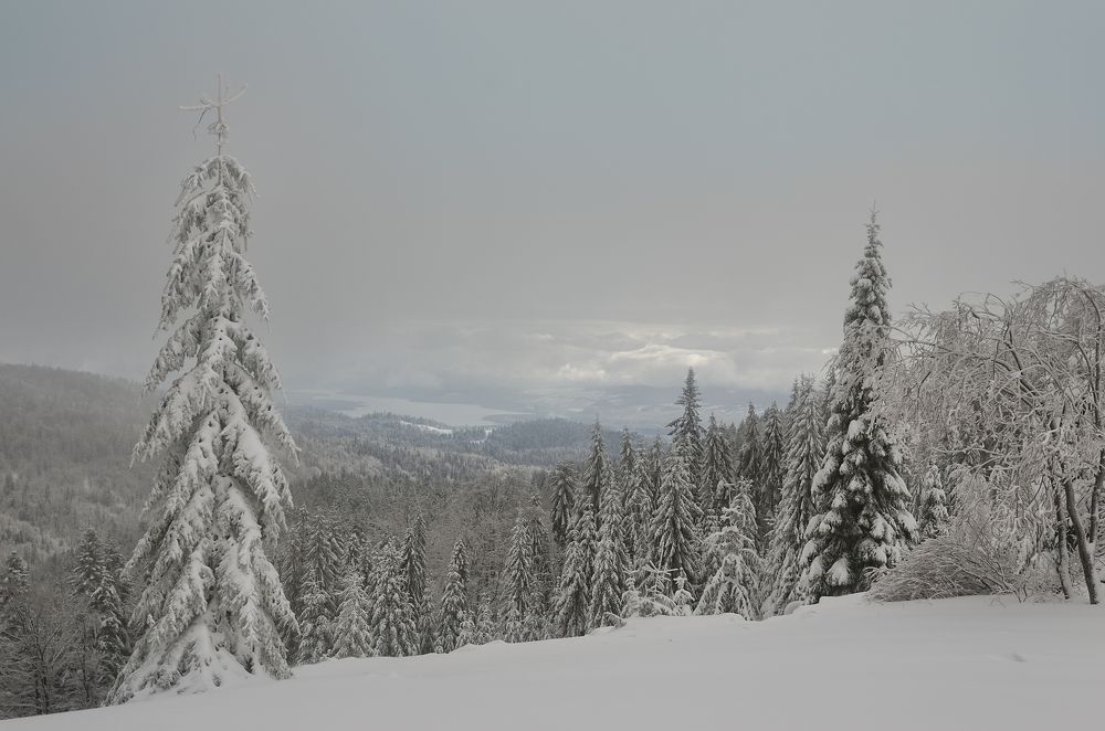 Заснеженный путь