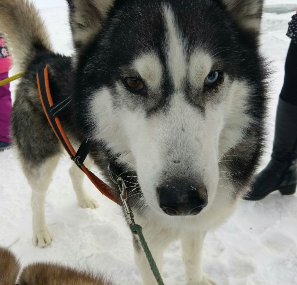 Photograph by Любовь Осипова