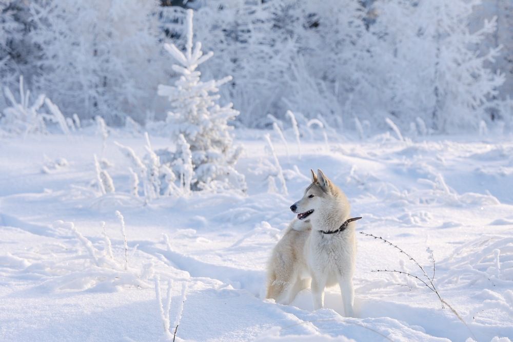 Photograph by Диана Нигматова