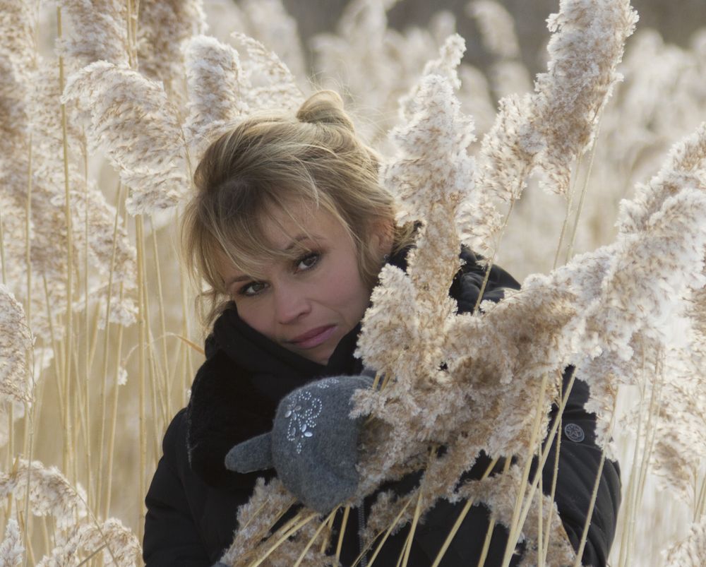 В зимнем тростнике