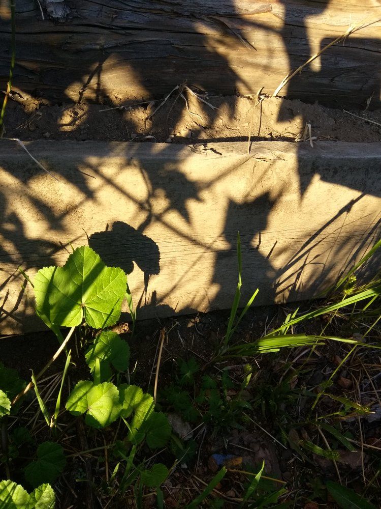 Photograph by Любовь Осипова