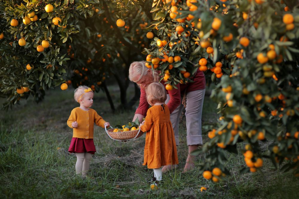 мандариновый рай