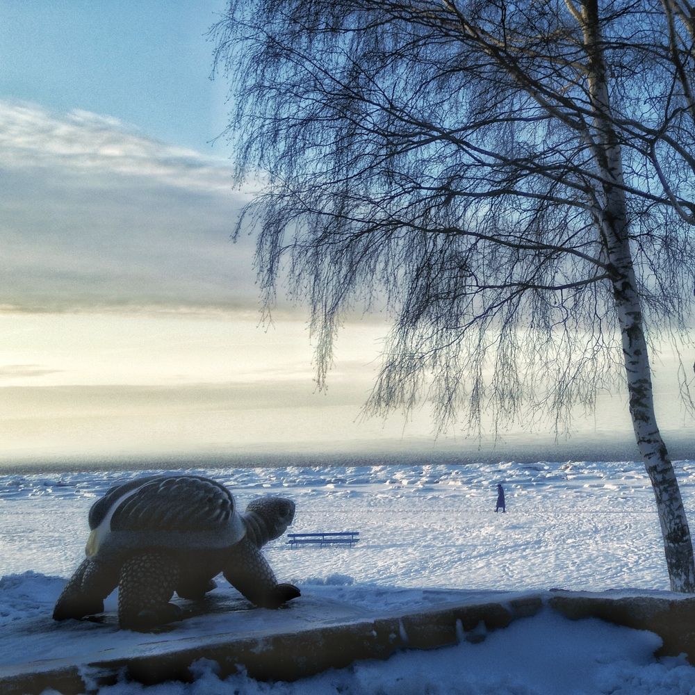 Юрмала зимой