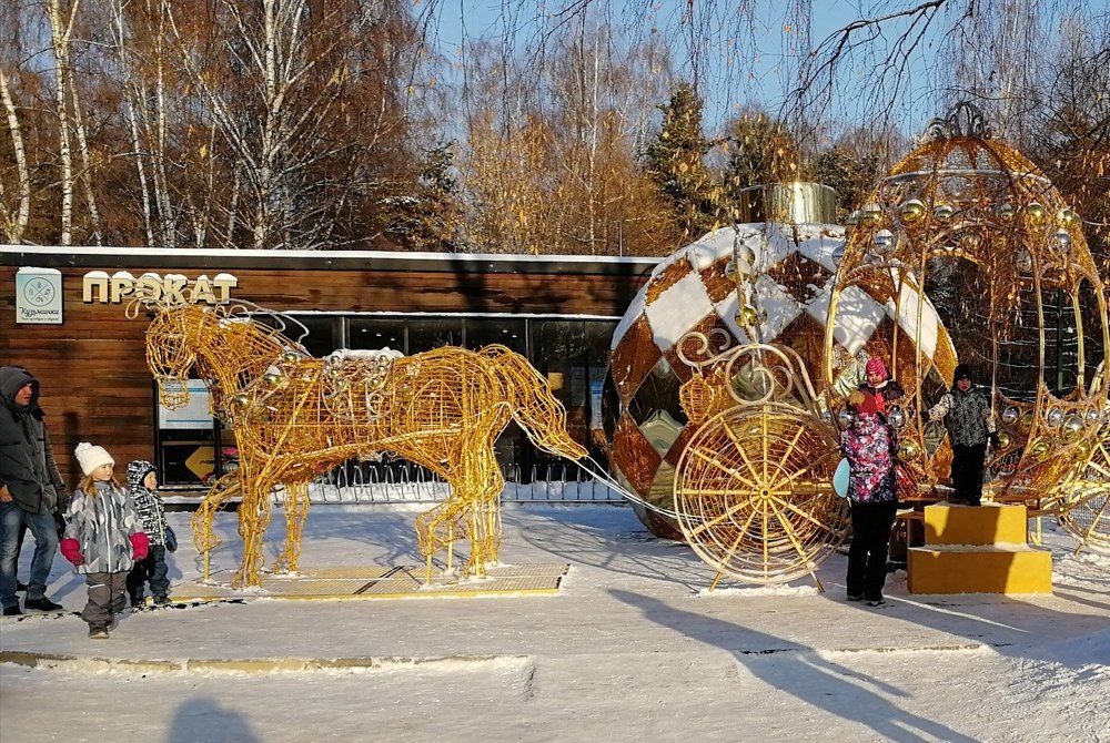 Волшебный конь Деда Мороза.