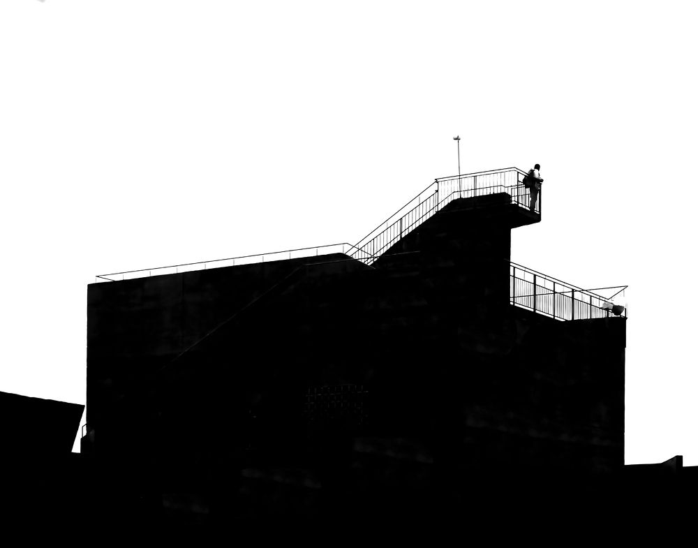 "en la cima de la evoluación"