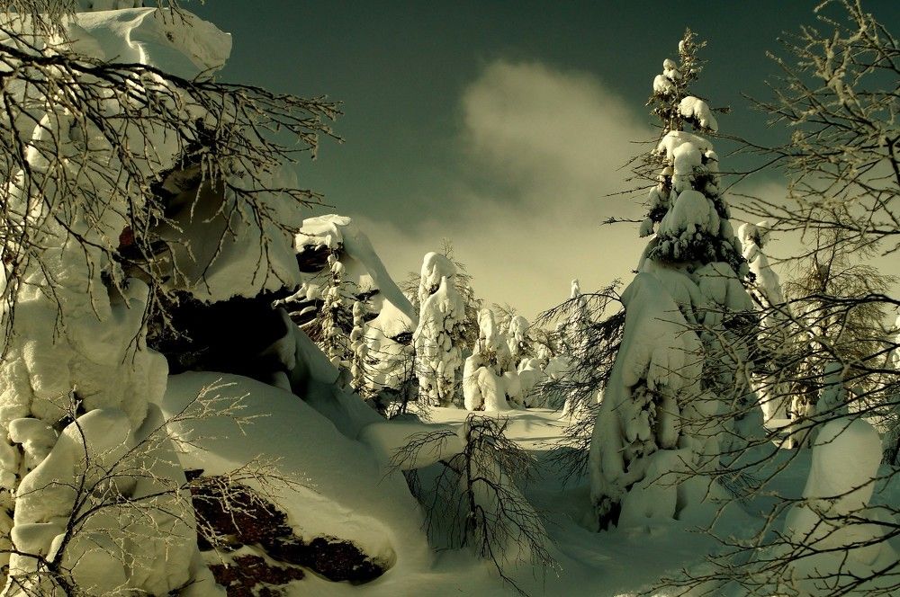 Звук тишины...