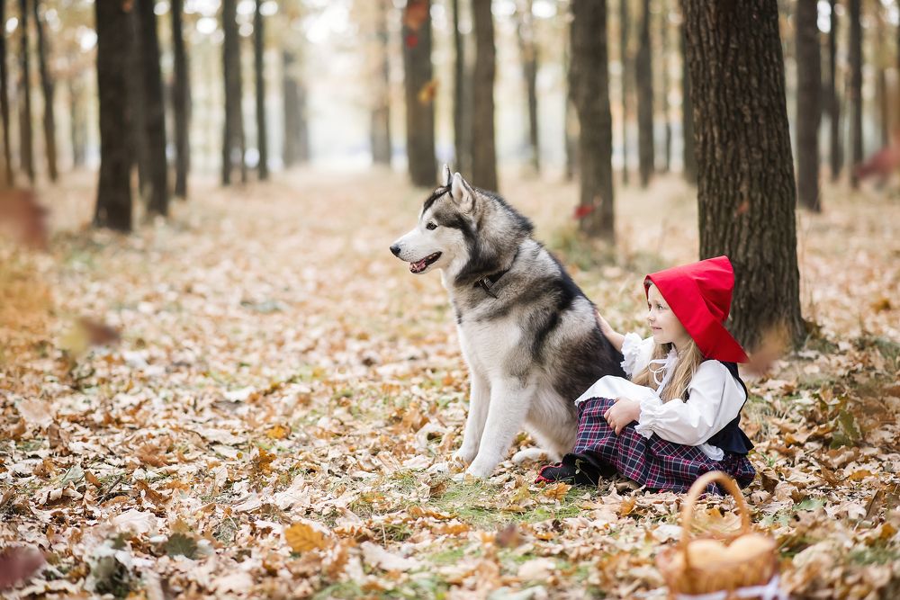 Приручила серого волка ♥