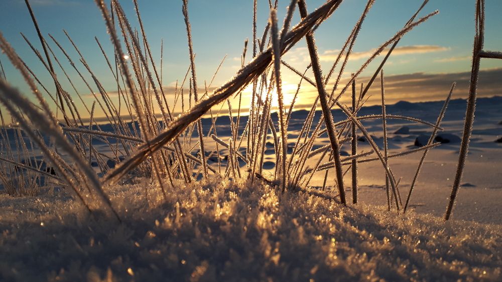 Ладожское чудо
