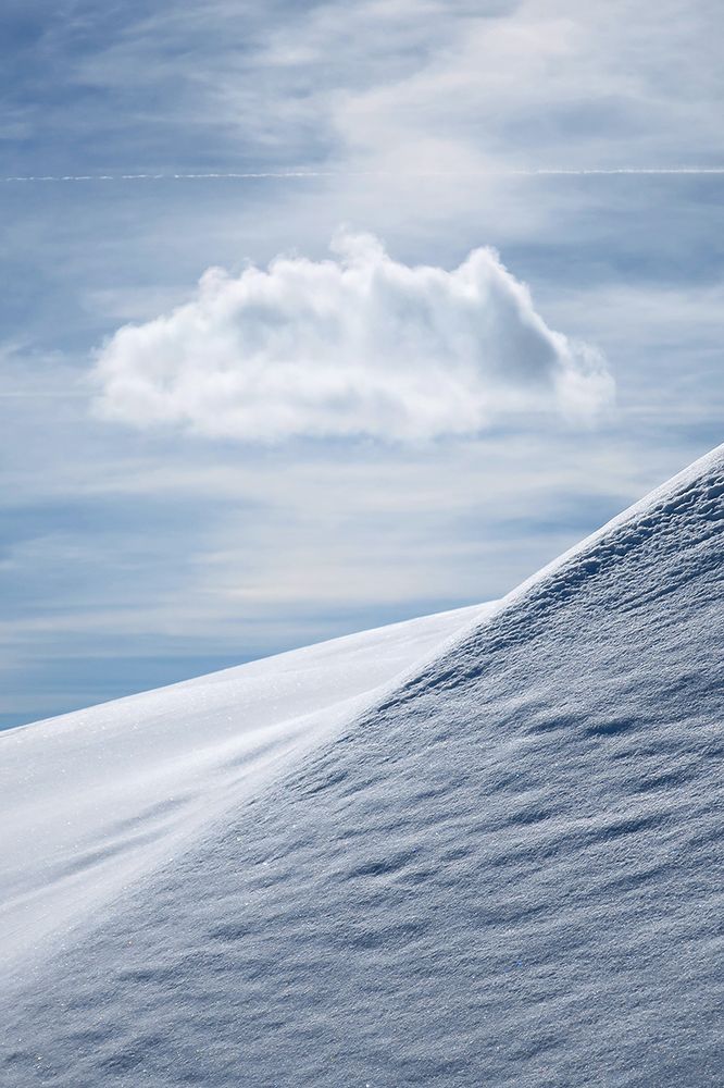 Snowy, funky, groovy, jazzy...