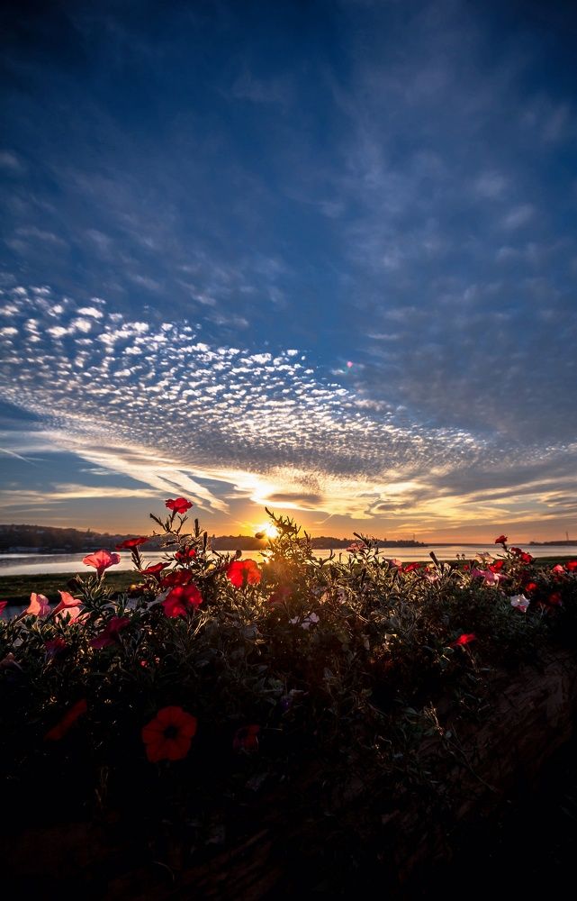 Клумба на набережной