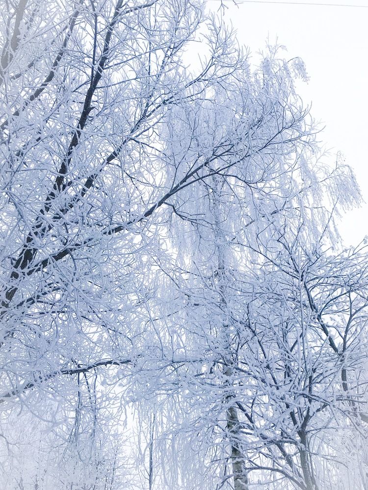 Winter