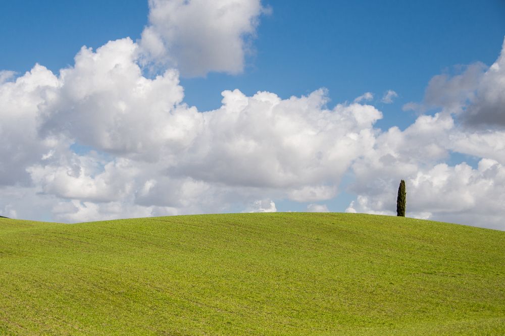 Photograph by Анна Юлина