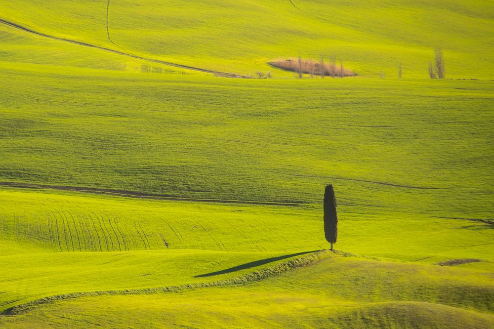 Photograph by Анна Юлина