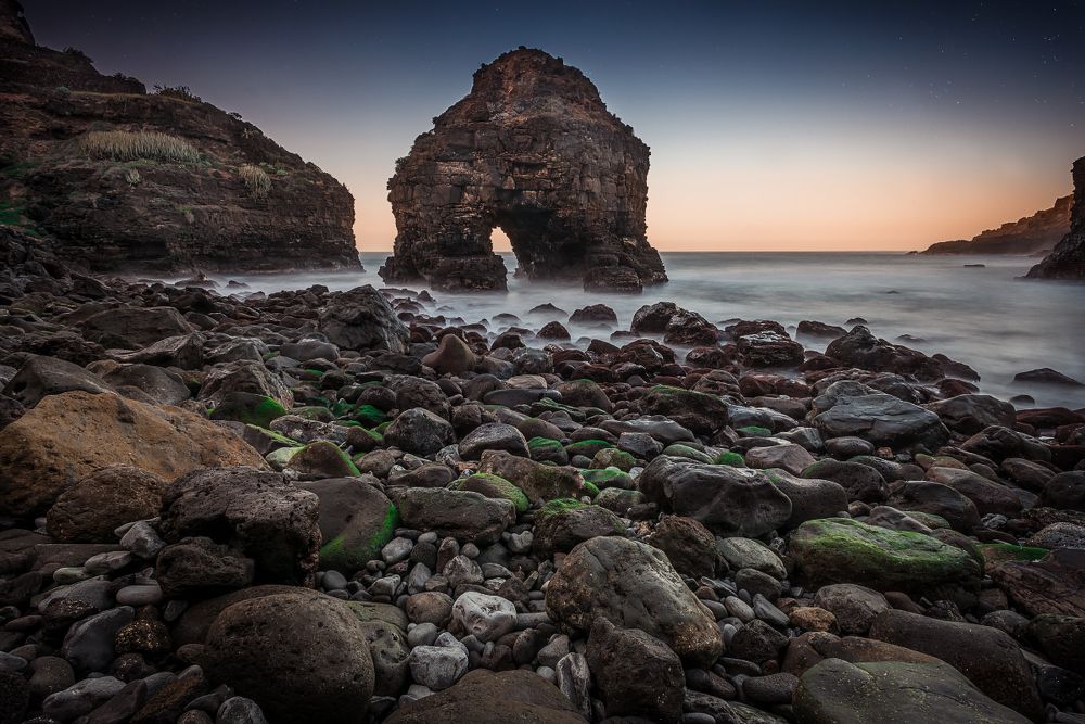 Морской Слон