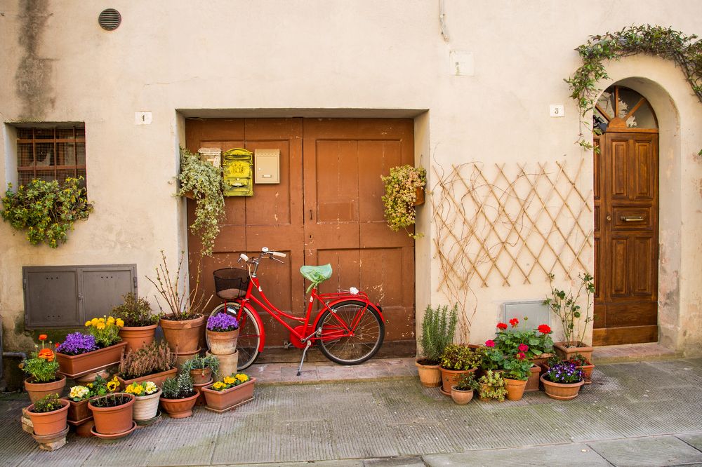 Photograph by Анна Юлина