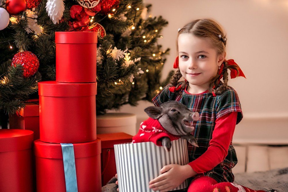 Сонечка и мини пиг